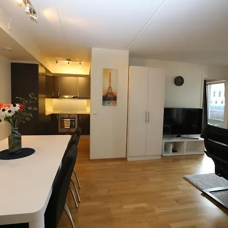 Center 3 Bedrooms Apartment, Mandalls Gate 12 Apartment